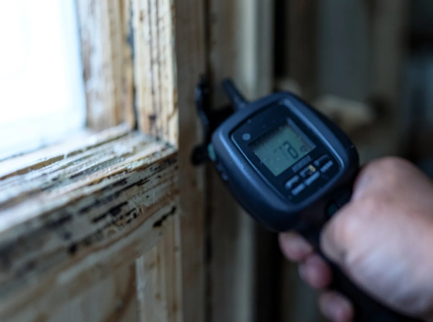 Commercial Water Damage Restoration in Rodeo, NM